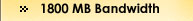 1800 MB Transfer Quota